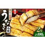 活うなぎ2尾 白焼 鰻 白焼き