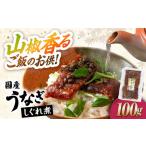 うなぎ うなぎしぐれ煮100g 佃煮