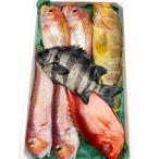 旬の鮮魚BOXお任せセット 松