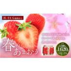 うるう農園 あまおう サイズ色々 6パック