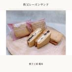 秩父レーズンサンド 5個入り