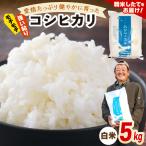 令和8年産 愛情 健やかに育った もちもち