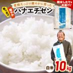 令和8年産 愛情 健やかに育った ツヤツヤ
