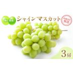 ショッピングふるさと納税 シャインマスカット ふるさと納税 駒ヶ根産シャインマスカット3房 ブドウ ぶどう 葡萄 果物 フルーツ 季節限定 産地直送 産直 駒ヶ根市 長野県駒ヶ根市