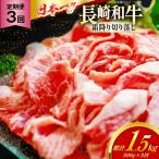 和牛 切り落とし 霜降り肉 定期便 長崎和牛