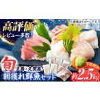 高級朝獲れ鮮魚 約2.5kg