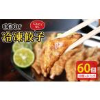 冷凍餃子 にんにくなし 60個