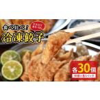冷凍餃子 にんにくあり なし 食べ比べ 各1パック