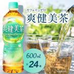爽健美茶 600mlPET_24本入り×1ケース