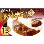 北さつま 髙﨑牛 ビーフカレー 220g×1袋