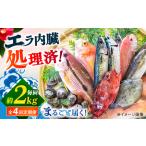 旬の地魚セット2kg エラ 内臓処理済 五島FF