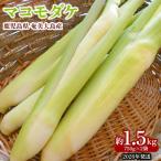 奄美大島産 マコモダケ 約1.5kg
