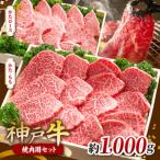 KGYS5 神戸牛 焼肉用セット 計1000g