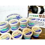 ふるさと納税 【長野県野辺山高原】滝沢牧場の手作りアイスクリーム 120ml×12個入【配送不可地域:離島】【1262873】 長野県南牧村