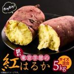 ふるさと納税 【訳あり】サイズ不揃い 東京都産サツマイモ5kg(紅はるか)【1601476】 東京都あきる野市