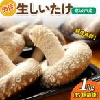 しいたけ 産生しいたけ 1kg