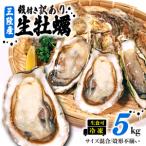ふるさと納税 訳あり 数量限定 生産調整品 牡蠣 5kg (生食可) かき カキ 冷凍 岩手県産 殻付き 生食 生食用 訳あり わけあり 大きさ不揃い 不.. 岩手県大船渡市