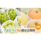 ふるさと納税 【2026年先行予約】シャインマスカットと梨詰め合わせ2-3種が届く！ぶどうと梨の満足定期便(岡山県産)【KF-T054-03】 岡山県真庭市