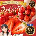 博多 あまおう 2パック