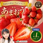 博多 あまおう 4パック