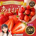 博多 あまおう 2パック