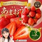うるう農園のあまおう サイズ色々4パック