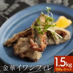 訳あり 金華 イワシ フィレ 1.5kg