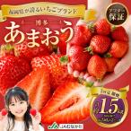 博多 あまおう 2パック