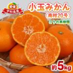 小玉みかん 5kg