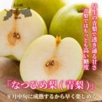 ふるさと納税 DS-01 なつひめ梨(5kg) 鳥取県大山町