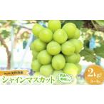 ショッピングふるさと納税 シャインマスカット ふるさと納税 【訳あり】シャインマスカット 2Kg【配送不可地域：離島】【1631232】 岡山県美作市