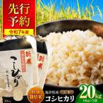 特別栽培米4 コシヒカリ 玄米 10kg×2
