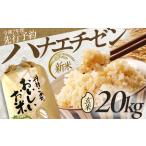 ふるさと納税 【先行予約 /8月下旬より順次発送 】 【令和7年産】 ハナエチゼン 玄米 10kg×2 (20kg) / 米 お米 健康 小浜市 / 北川博司[B.. 福井県小浜市