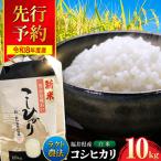 ラクト農法 コシヒカリ 白米 10kg