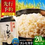 ラクト農法 コシヒカリ 玄米 10kg×2