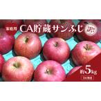 りんごサンふじ訳ありCA貯蔵 りんご