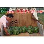 伊佐沢フルーツ倶楽部の大玉すいか2玉_H099