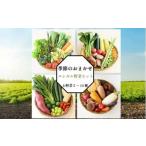 旬のエシカル野菜セット