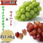 ふるさと納税 ぶどう 2026年 先行予約 農家こだわりのシャインマスカット＆ハート型のマイハート  合計約1.0kg ブドウ 葡萄 岡山県産 国産 フル.. 岡山県玉野市