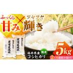 産こしひかり 精米 5kg