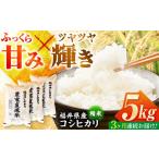 産こしひかり 精米 5kg