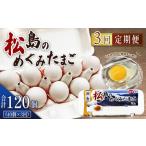 fu.... налог No.163 сосна остров. ... Tama .40 штук входит 3 месяцев установленный срок рейс Miyagi префектура сосна остров блок 