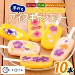手作りアイスキャンディー エディブルフラワー入り 10本