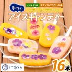 手作りアイスキャンディー エディブルフラワー入り 計16本