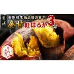 ふるさと納税 【年内お届け】都城産 長期熟成紅はるか 3kg≪2025年12月15日〜31日お届け≫_LE-I201-HNY 宮崎県都城市