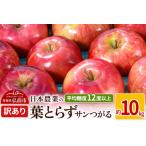 ふるさと納税 【レビューキャンペーン】【25年9月〜発送】りんご 平均糖度12度以上! 葉とらずサンつがる 約10kg 訳あり クール便【先行受付】 .. 青森県弘前市