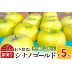 ふるさと納税 【レビューキャンペーン】【25年11月〜発送】りんご 平均糖度13度以上! シナノゴールド 約5kg 訳あり【先行受付】 青森 果物 フル.. 青森県弘前市