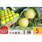 ふるさと納税 【レビューキャンペーン】【25年11月〜発送】りんご 平均糖度13度以上! 王林 約5kg 訳あり【先行受付】 青森 果物 フルーツ 林檎 .. 青森県弘前市