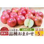 ふるさと納税 【レビューキャンペーン】【25年12月発送】りんご 【定期便3ヶ月】【先行受付】 平均糖度12.5度以上! 訳あり品種おまかせ5kg 【12.. 青森県弘前市