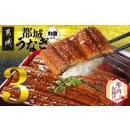 ふるさと納税 【年内お届け】宮崎県育ちのうなぎ蒲焼3尾500g以上≪山椒・たれ付≫≪2025年12月15日〜31日お届け≫_AC-M301-HNY 宮崎県都城市